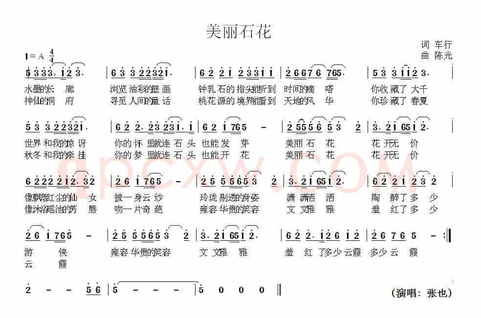美丽石花