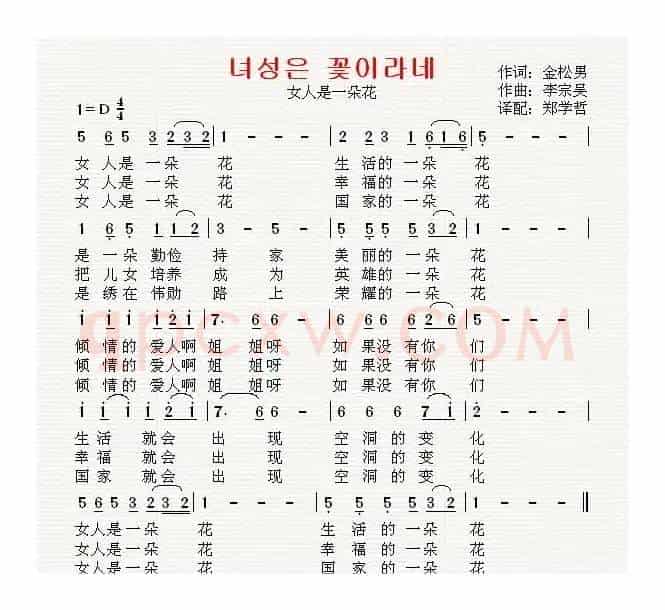 [朝鲜]女人是一朵花（中文版）