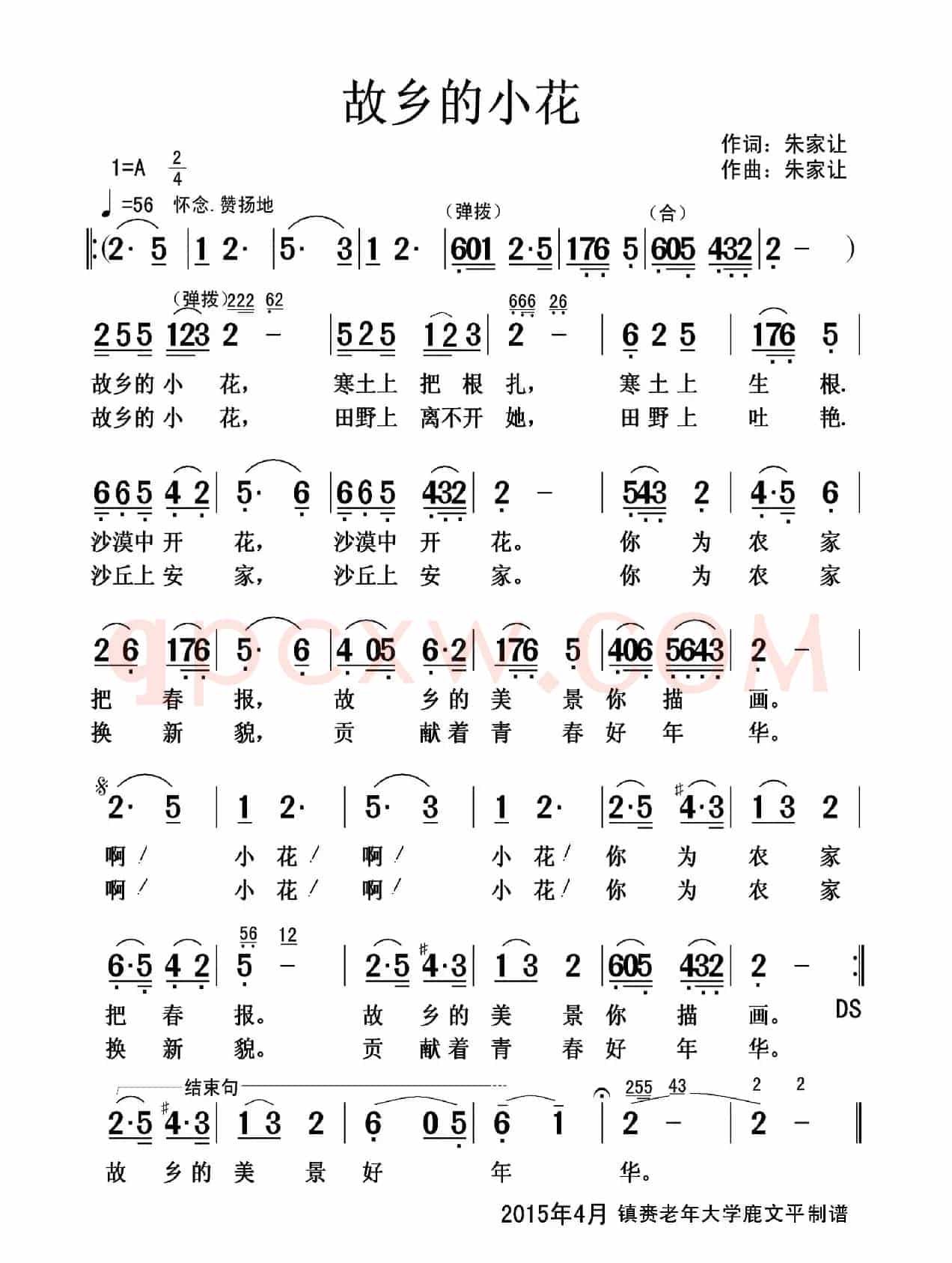 故乡的小花