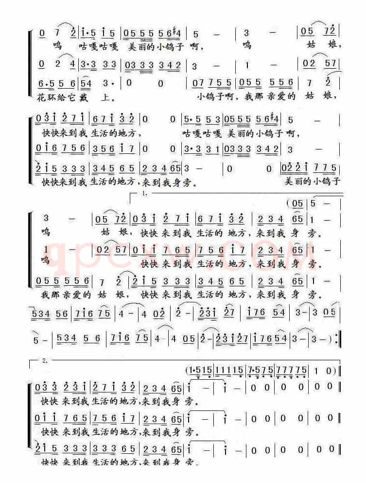 鸽子（梦之旅版）