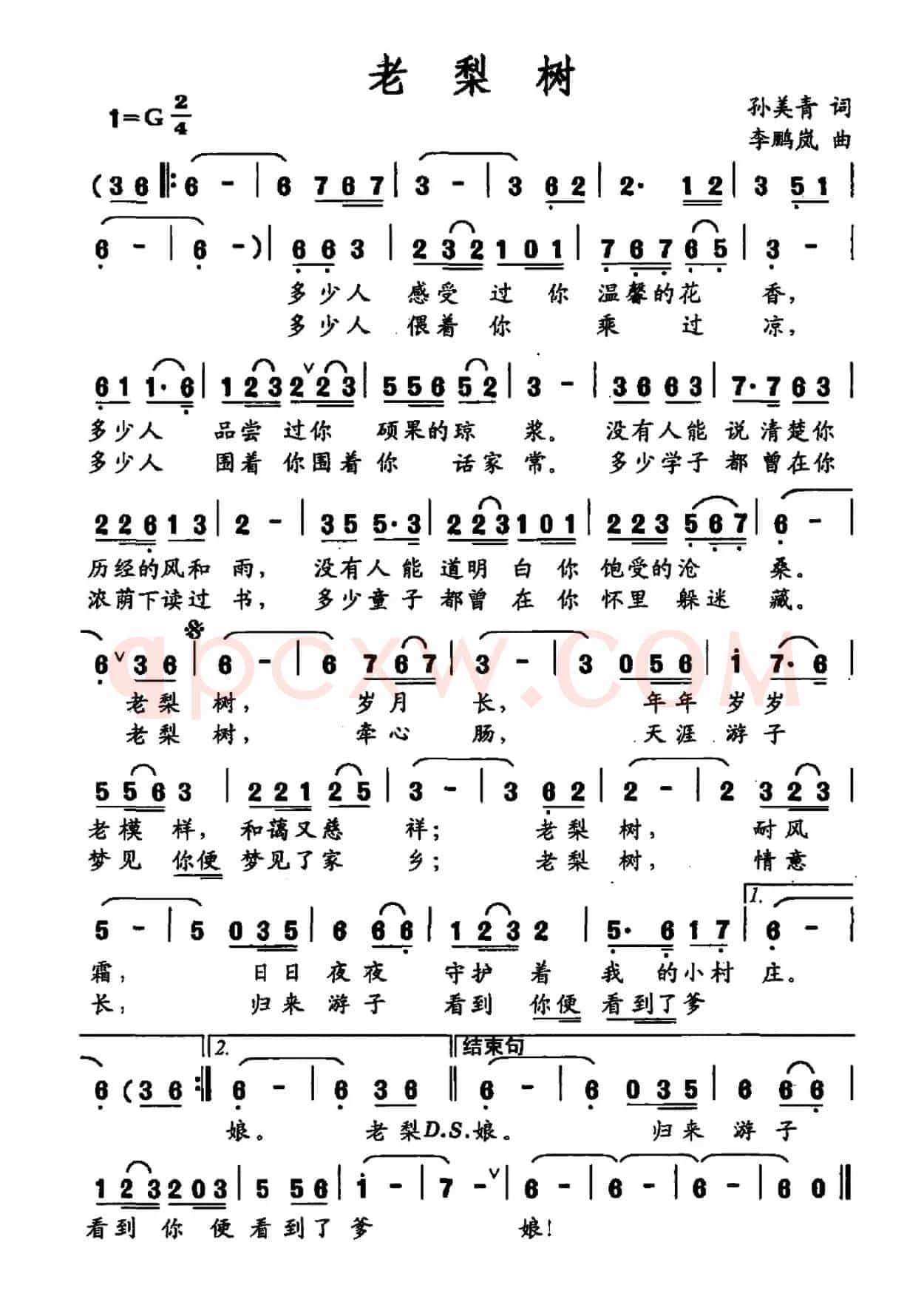 老梨树（孙美青词 李鹏岚曲）