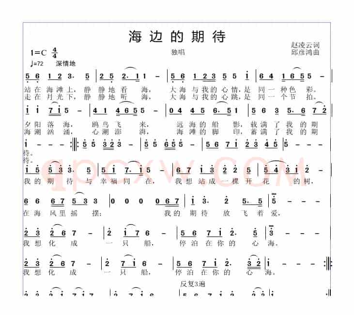 海边的期待