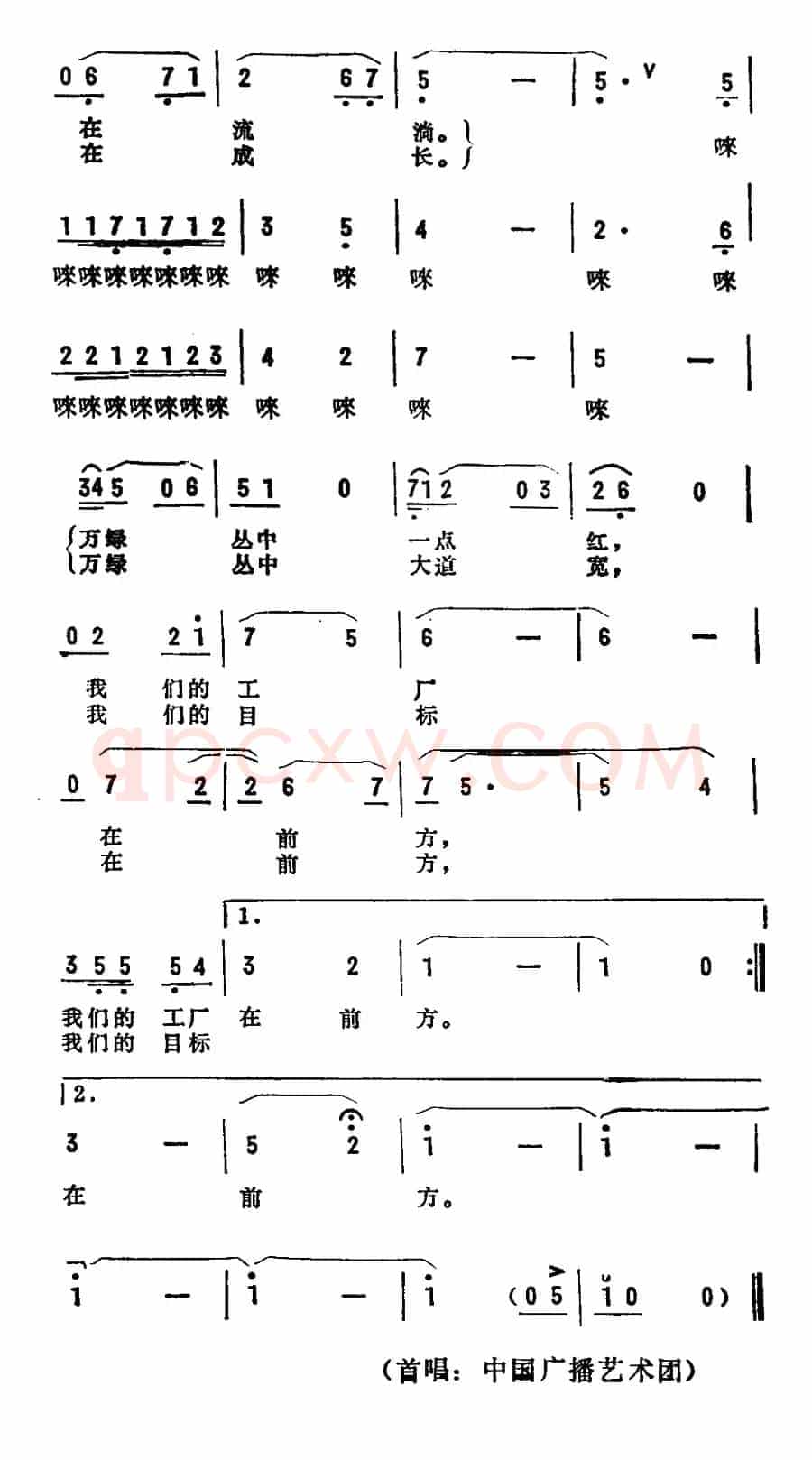 走在林荫大道上