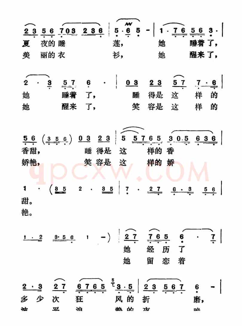 夏夜的睡莲