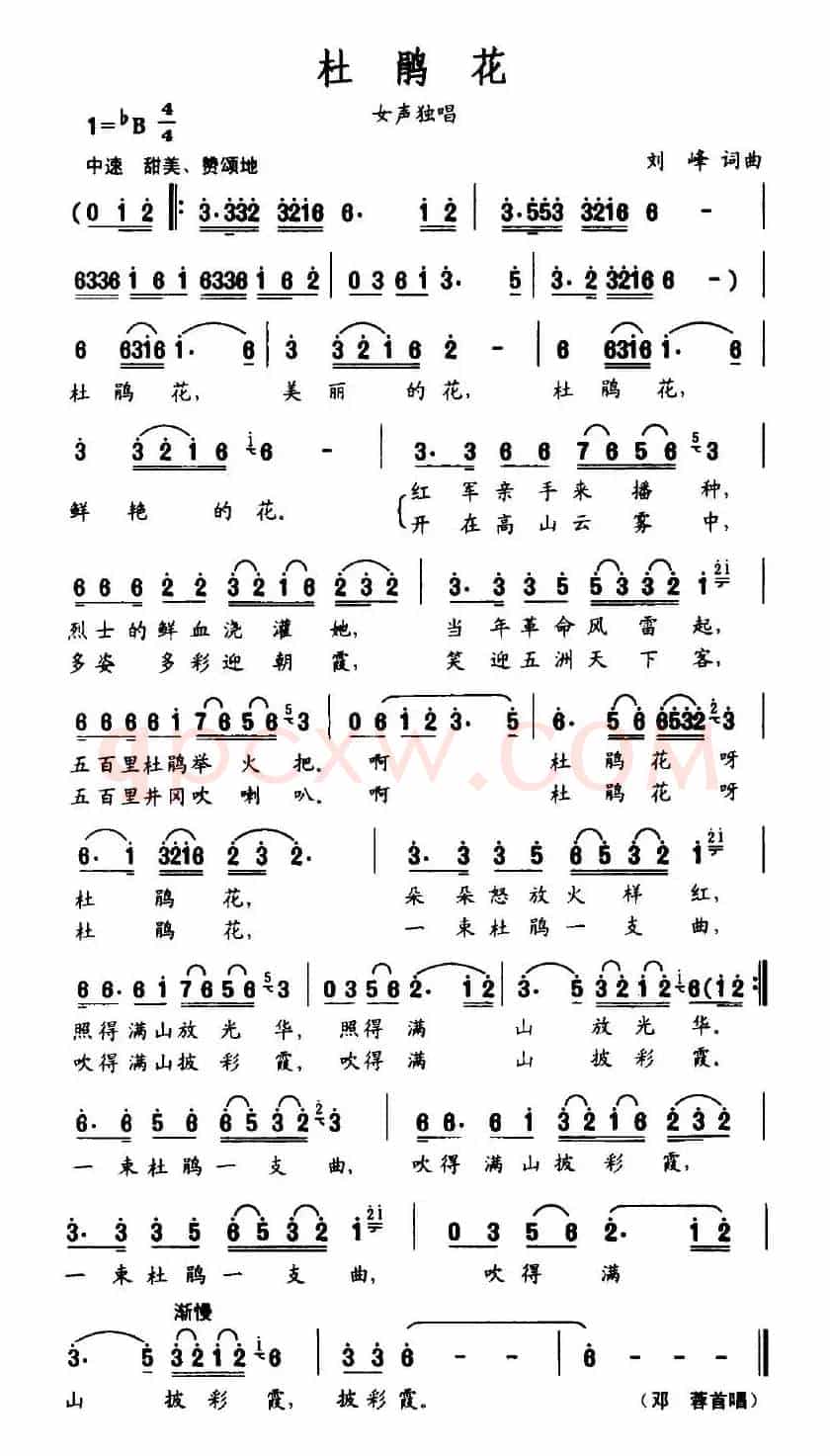杜鹃花（刘峰词 刘峰曲）