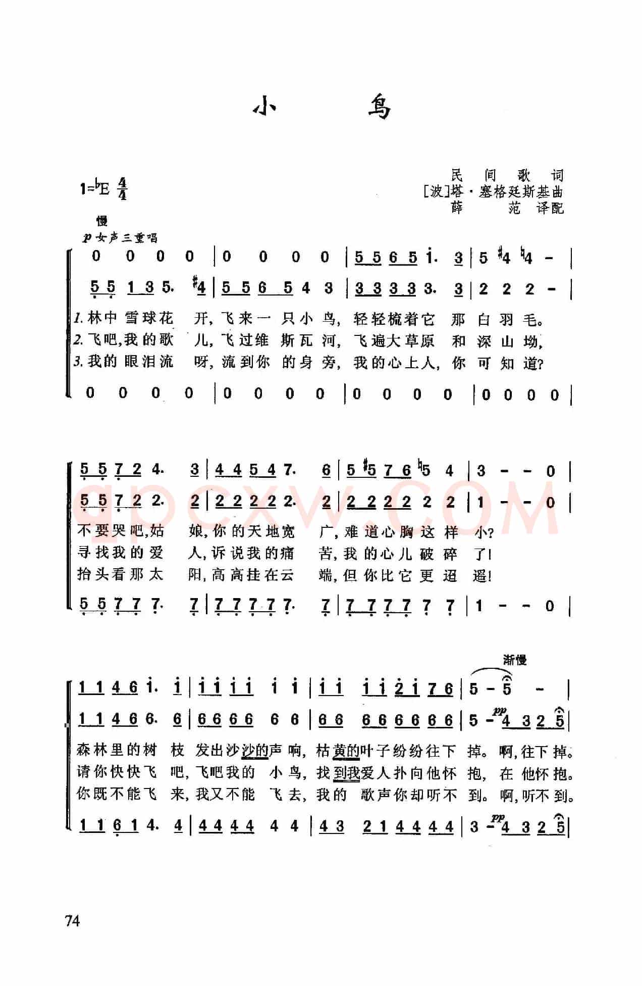 小鸟（[波] 塔·塞格廷斯基曲）