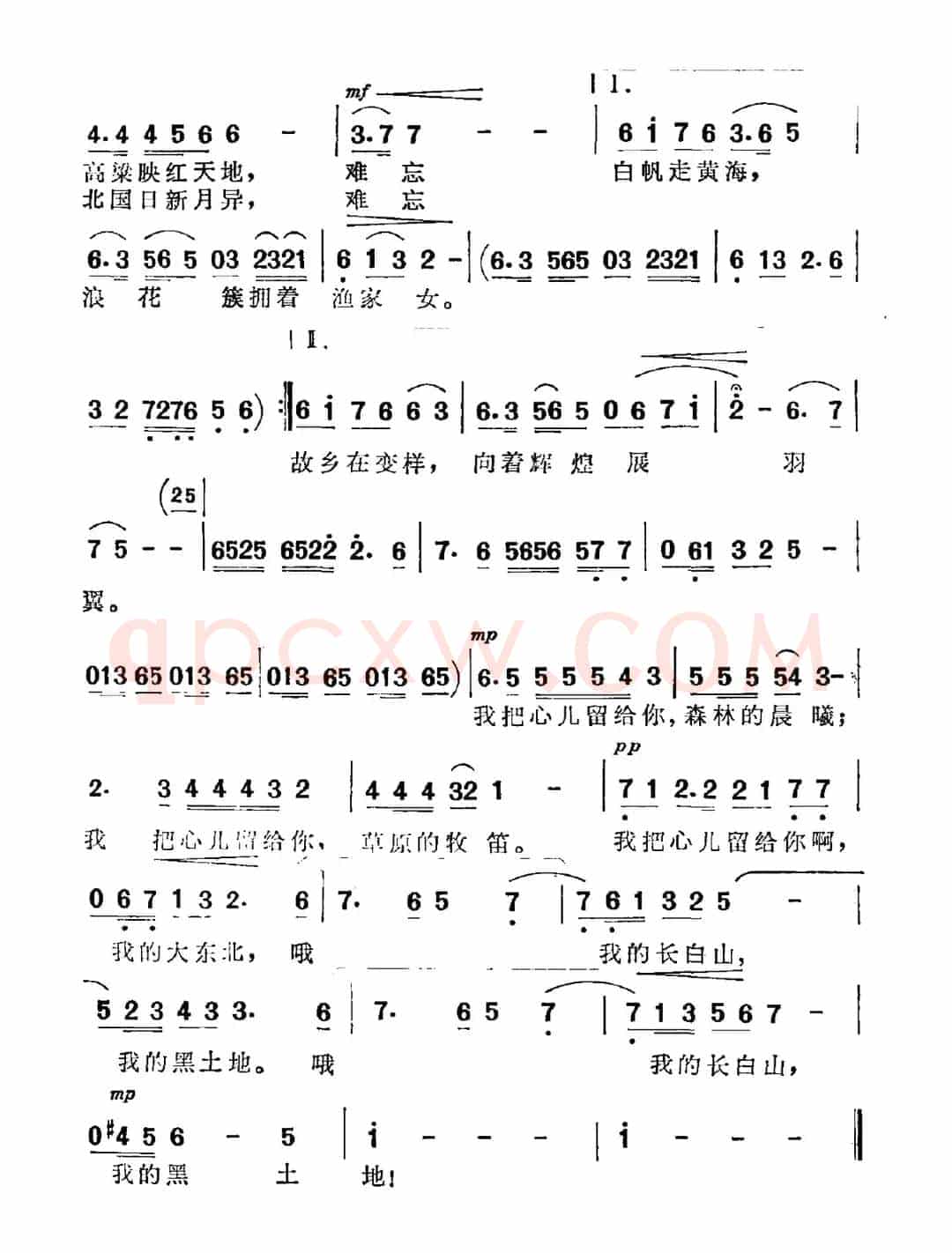 哦，我的大东北