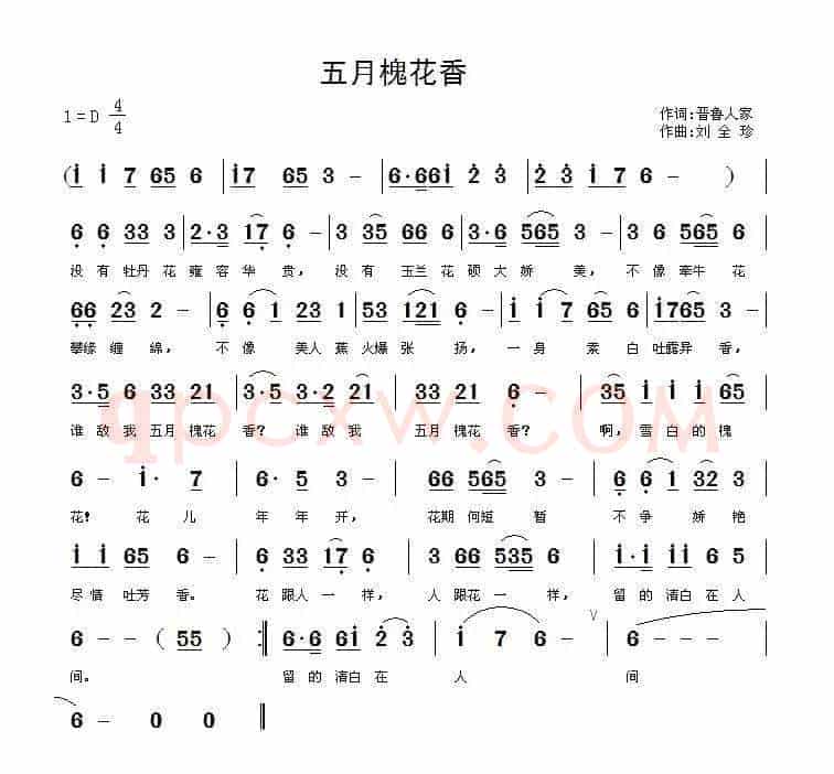 五月槐花香（晋鲁人家词 刘全珍曲）