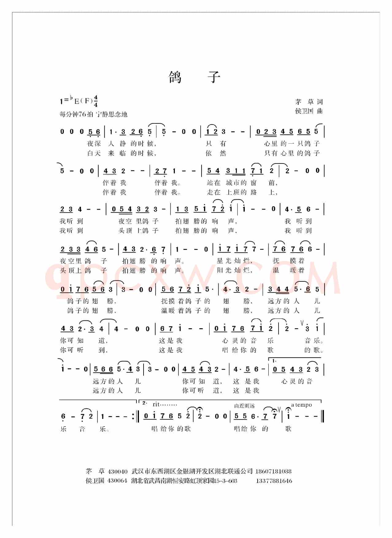 鸽子（茅草词 侯卫国曲）