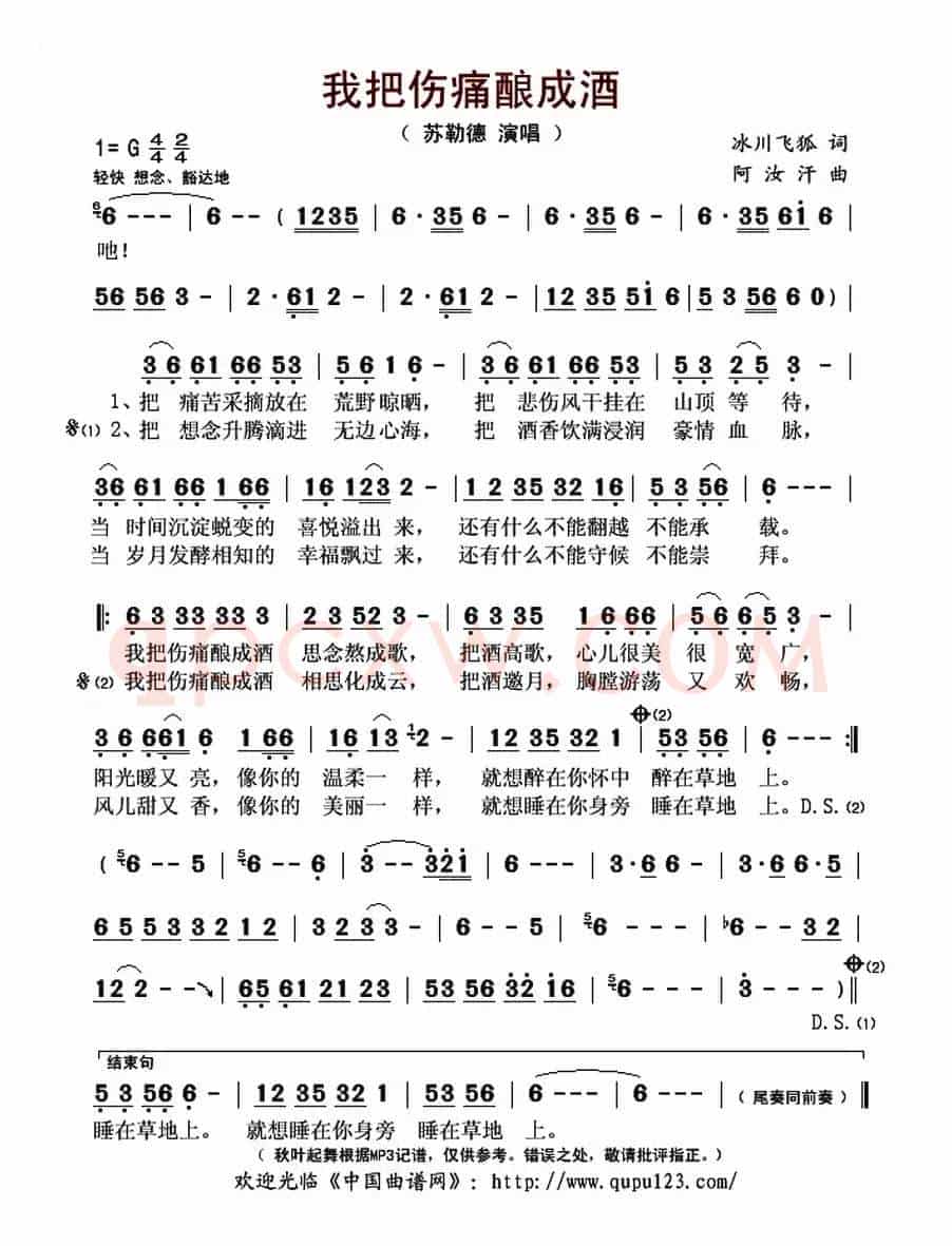 我把伤痛酿成酒