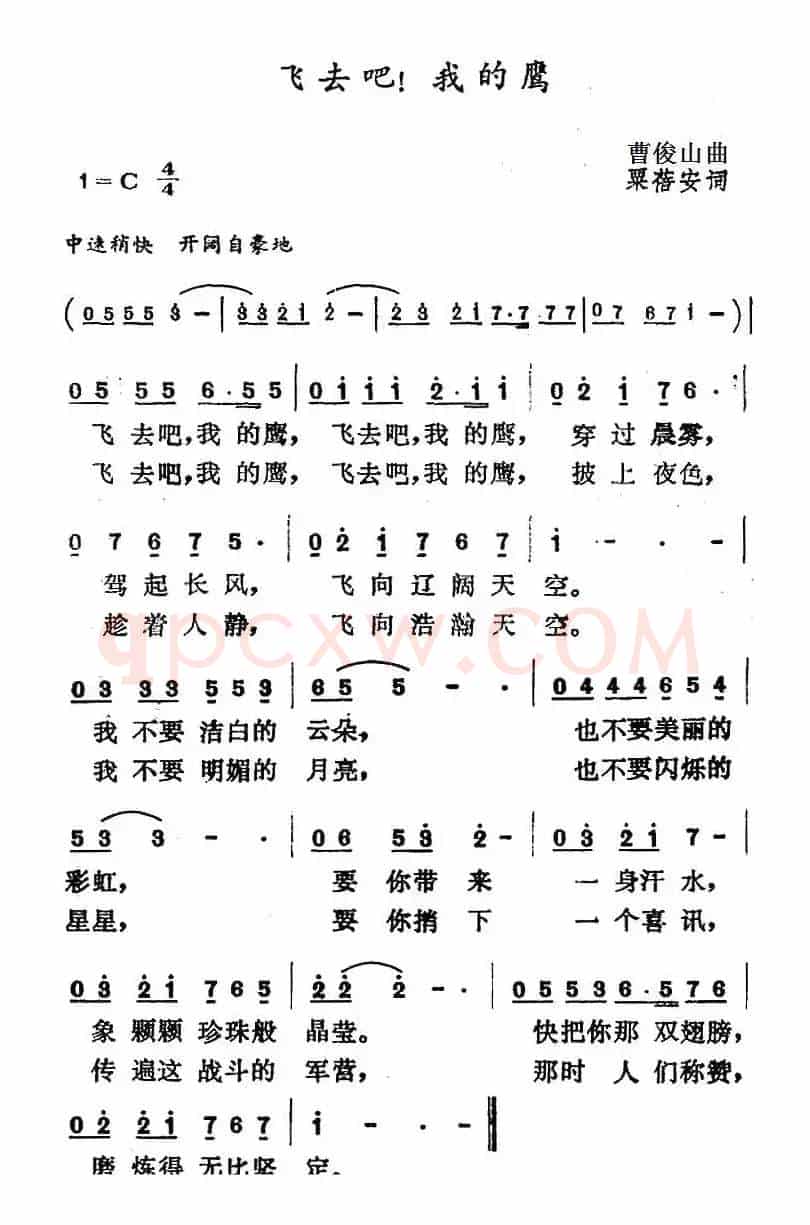 飞去吧！我的鹰