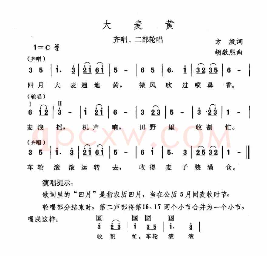 大麦黄