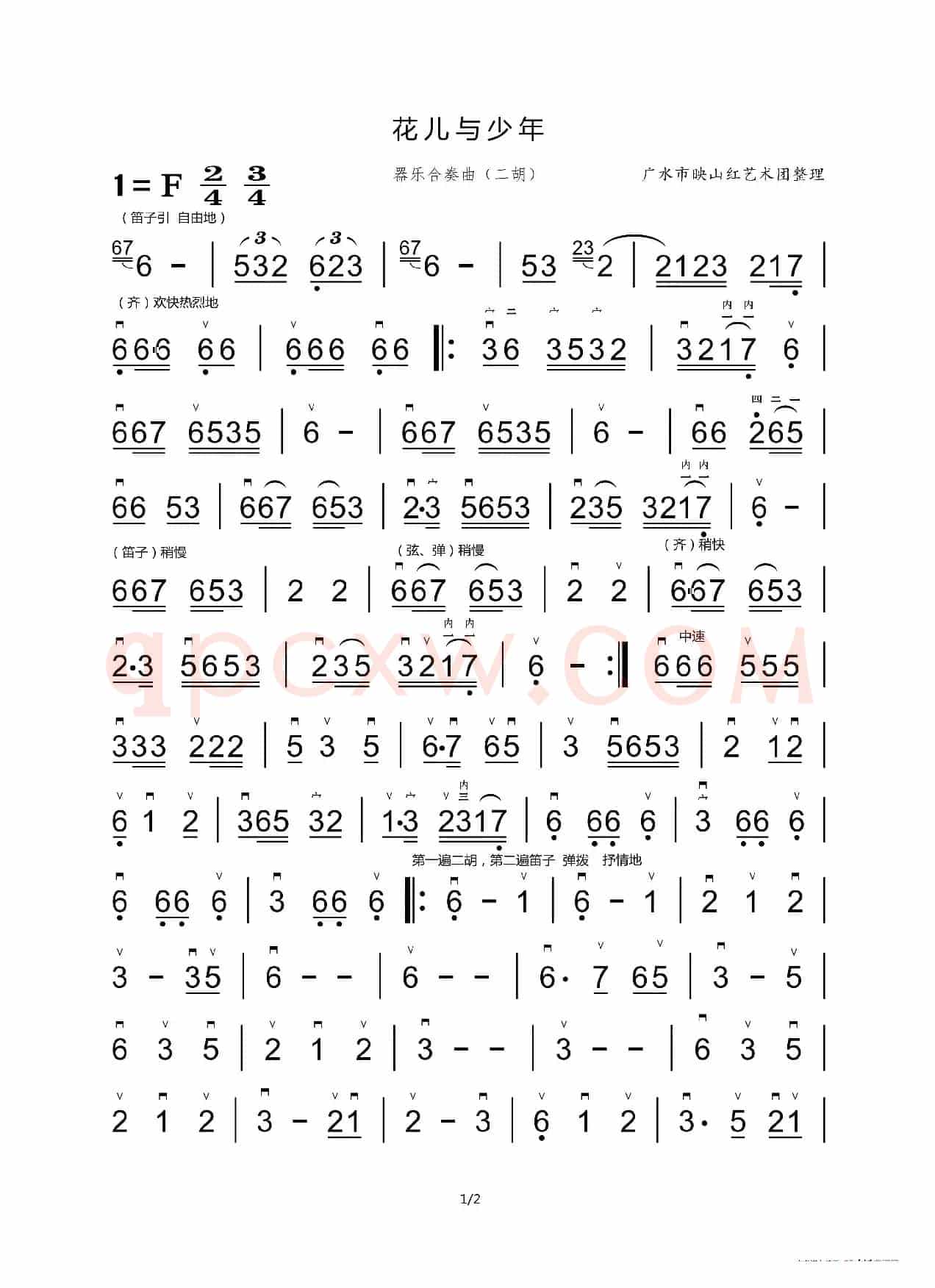 花儿与少年（器乐合奏二胡分谱）