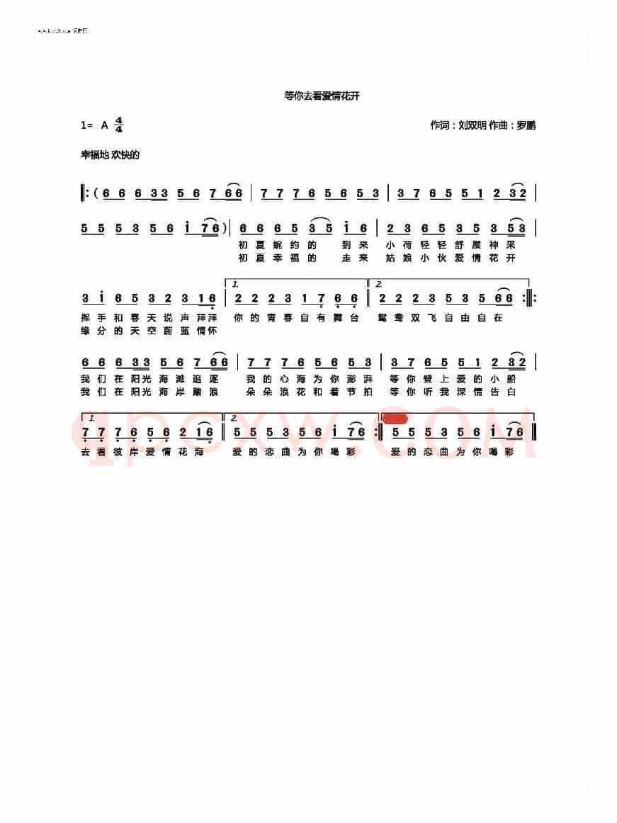 等你去看爱情花开（民族风格 广场舞曲风）