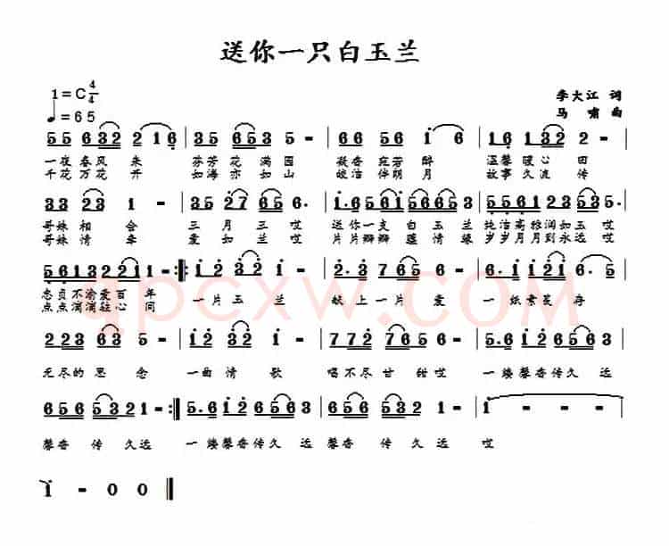 送你一支白玉兰