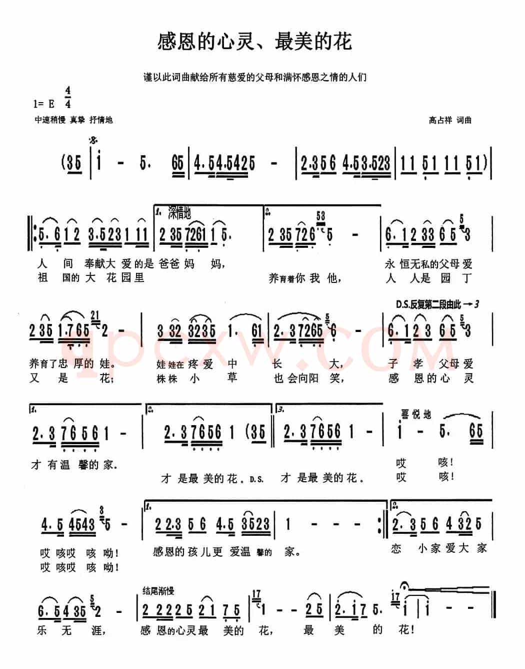 感恩的心灵、最美的花