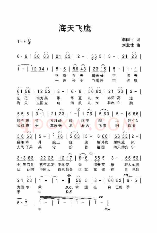 海天飞鹰