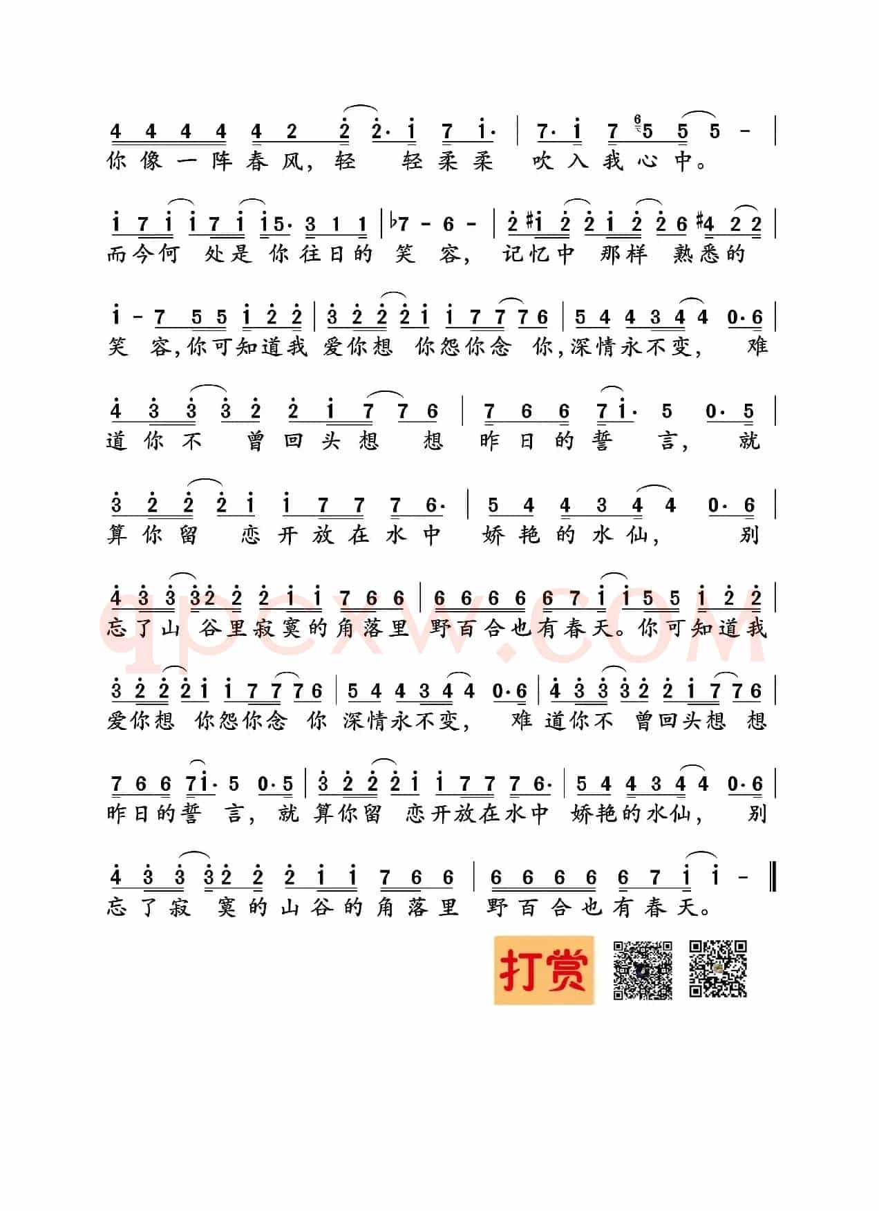 野百合也有春天