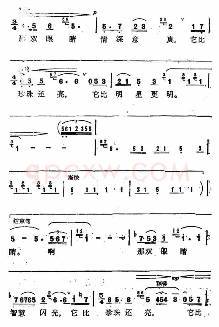 珍珠姑娘的眼睛 