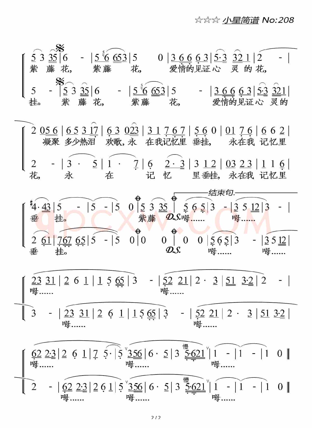 紫藤花