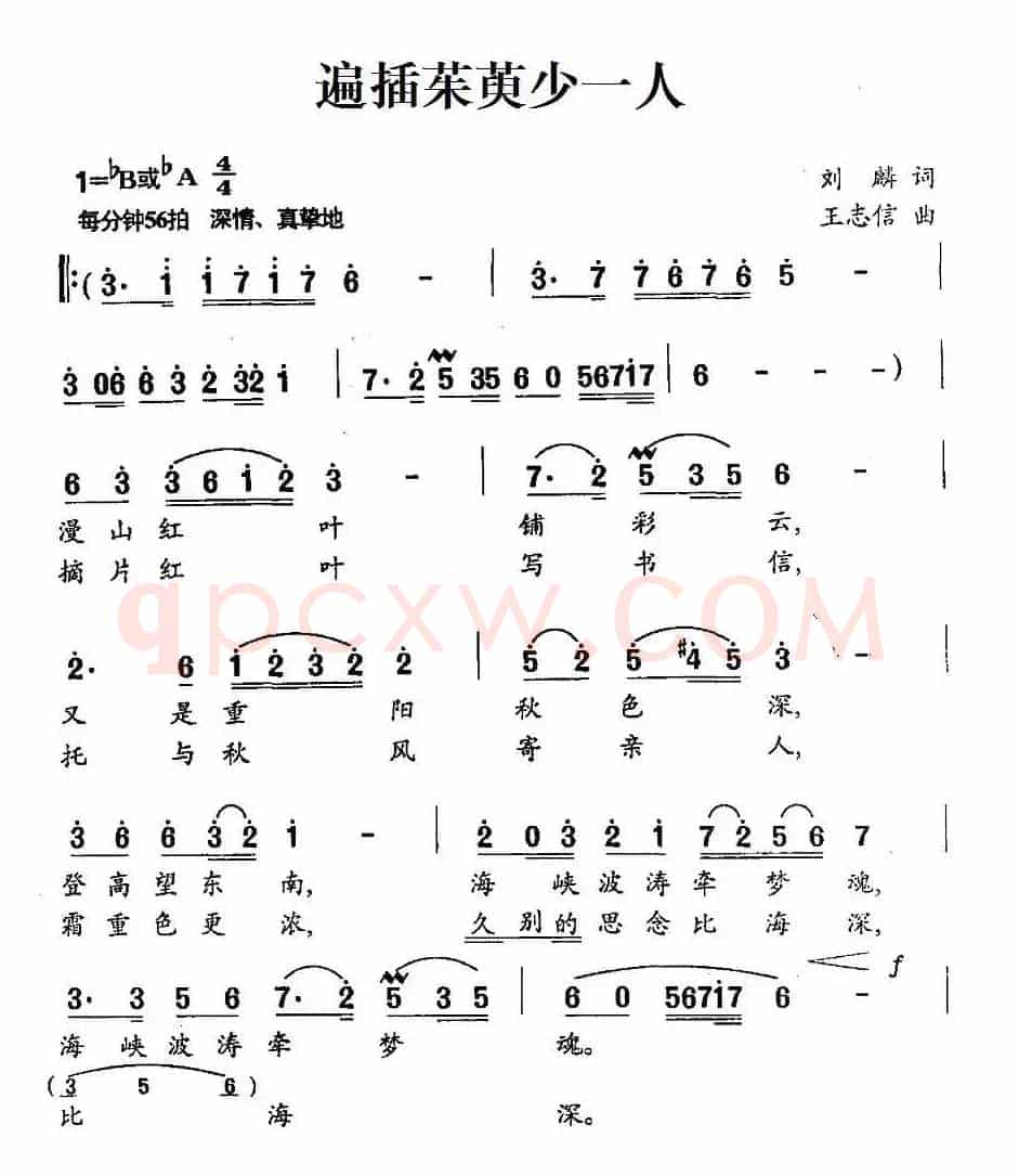遍插茱萸少一人