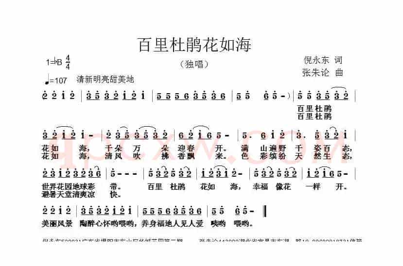 百里杜鹃花如海