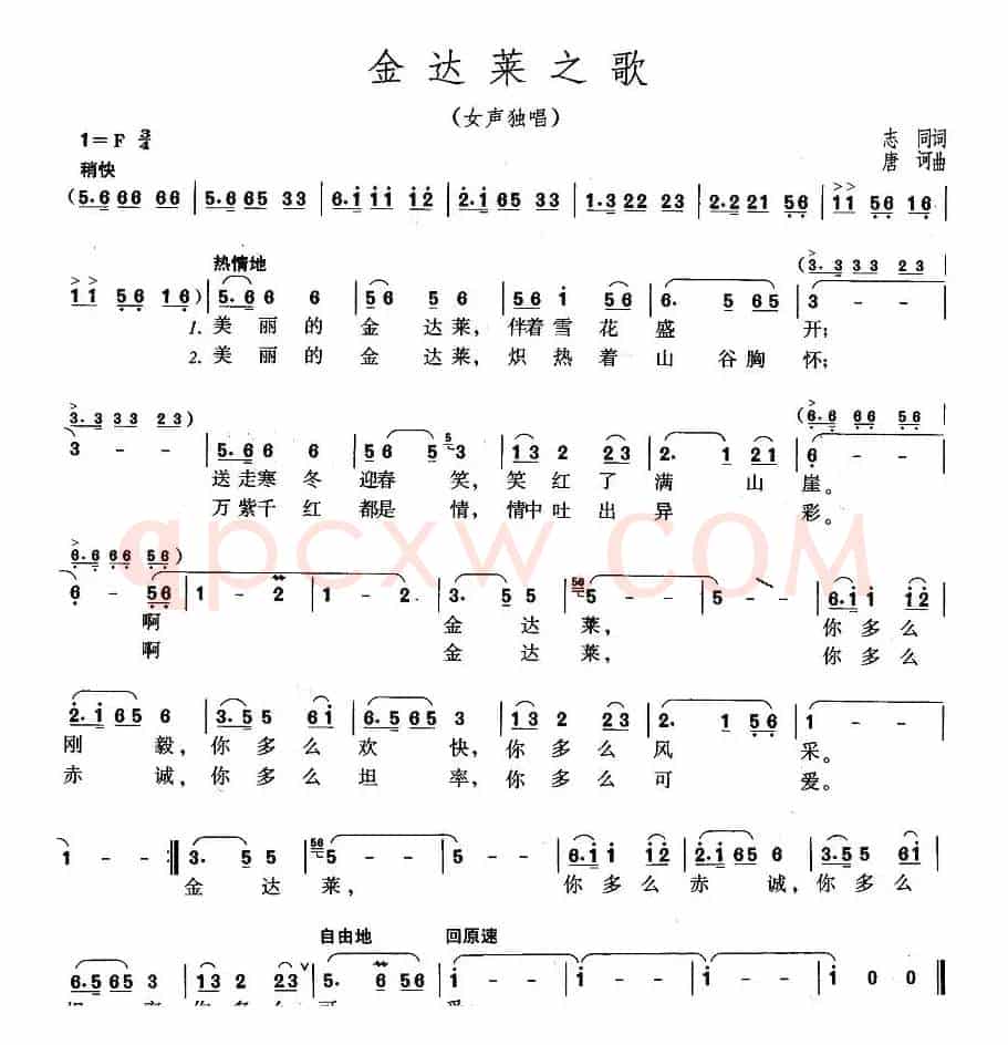 金达莱之歌