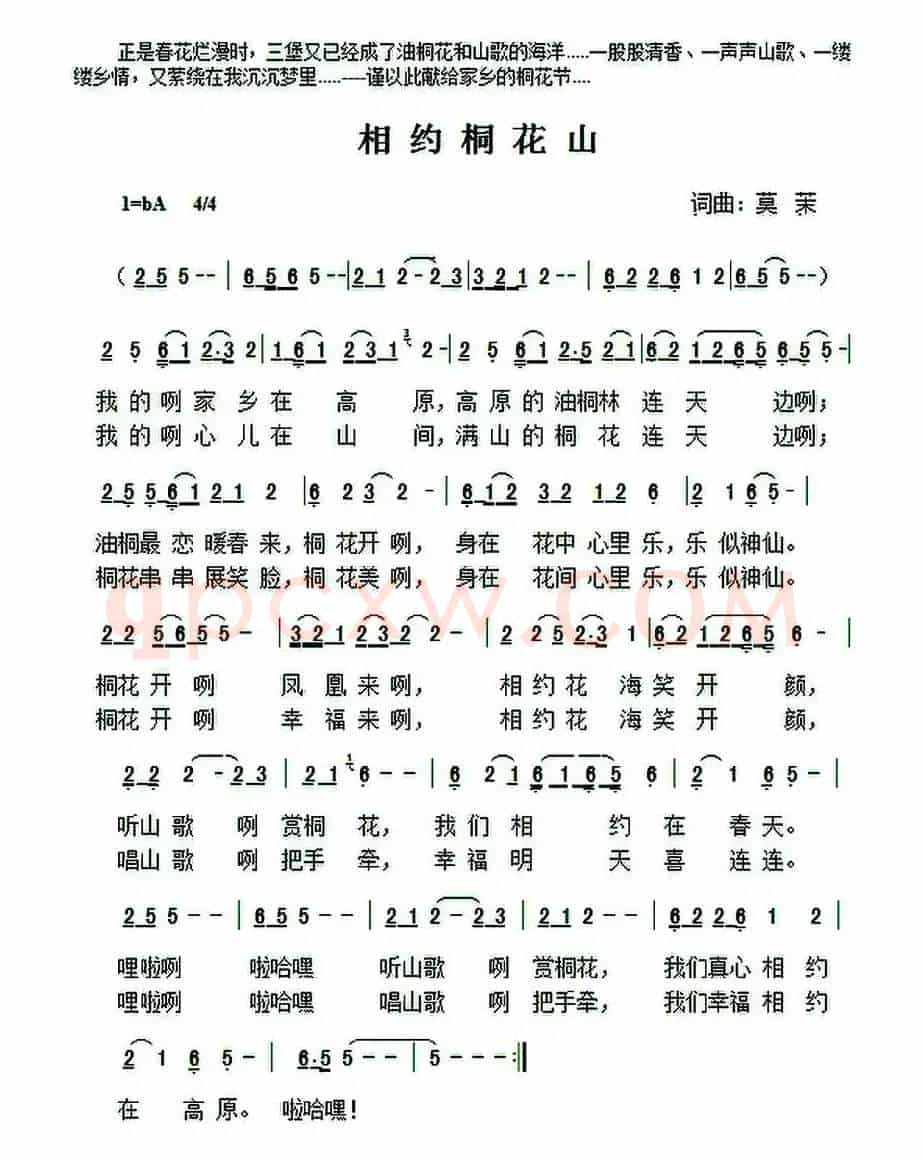 相约桐花山