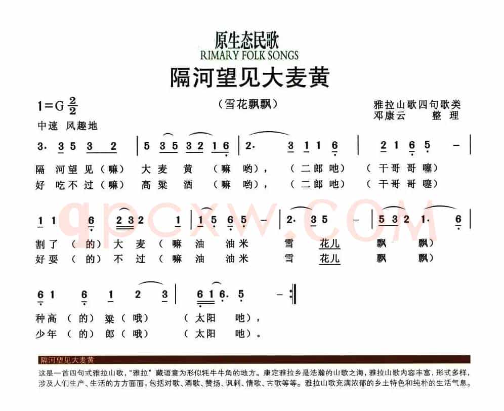 隔河望见大麦黄（又名：雪花飘飘）