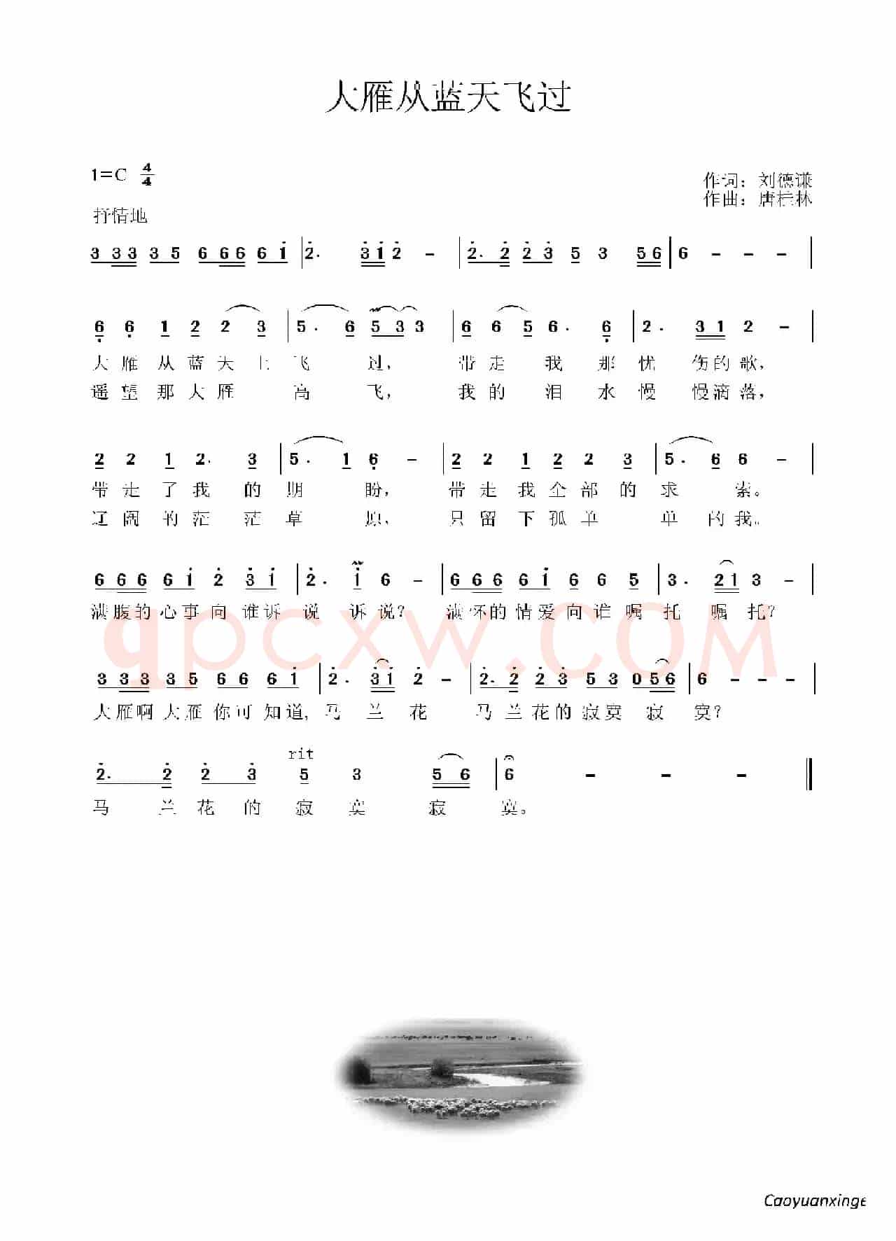 大雁从蓝天上飞过