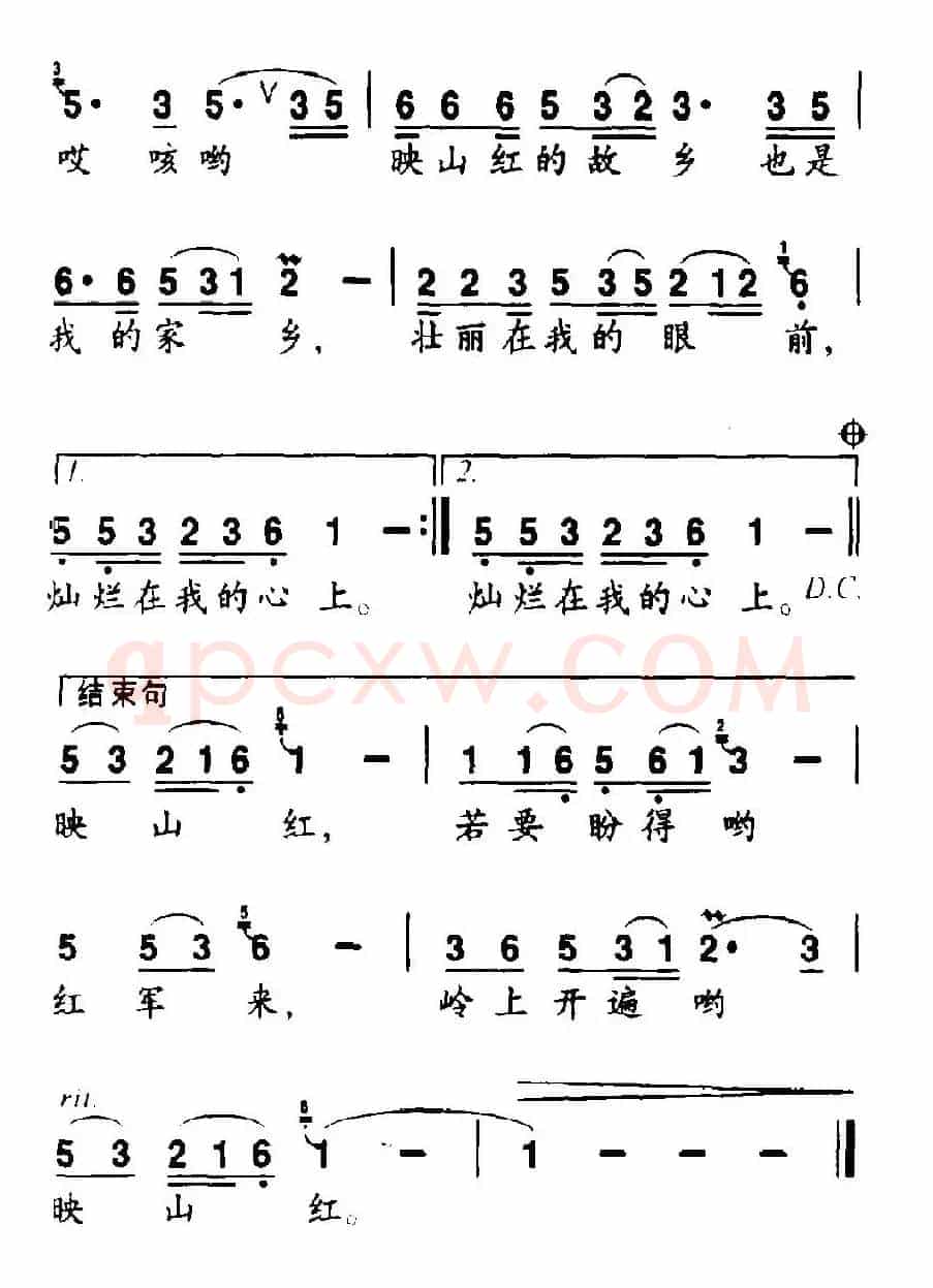 映山红的故乡（3个版本）
