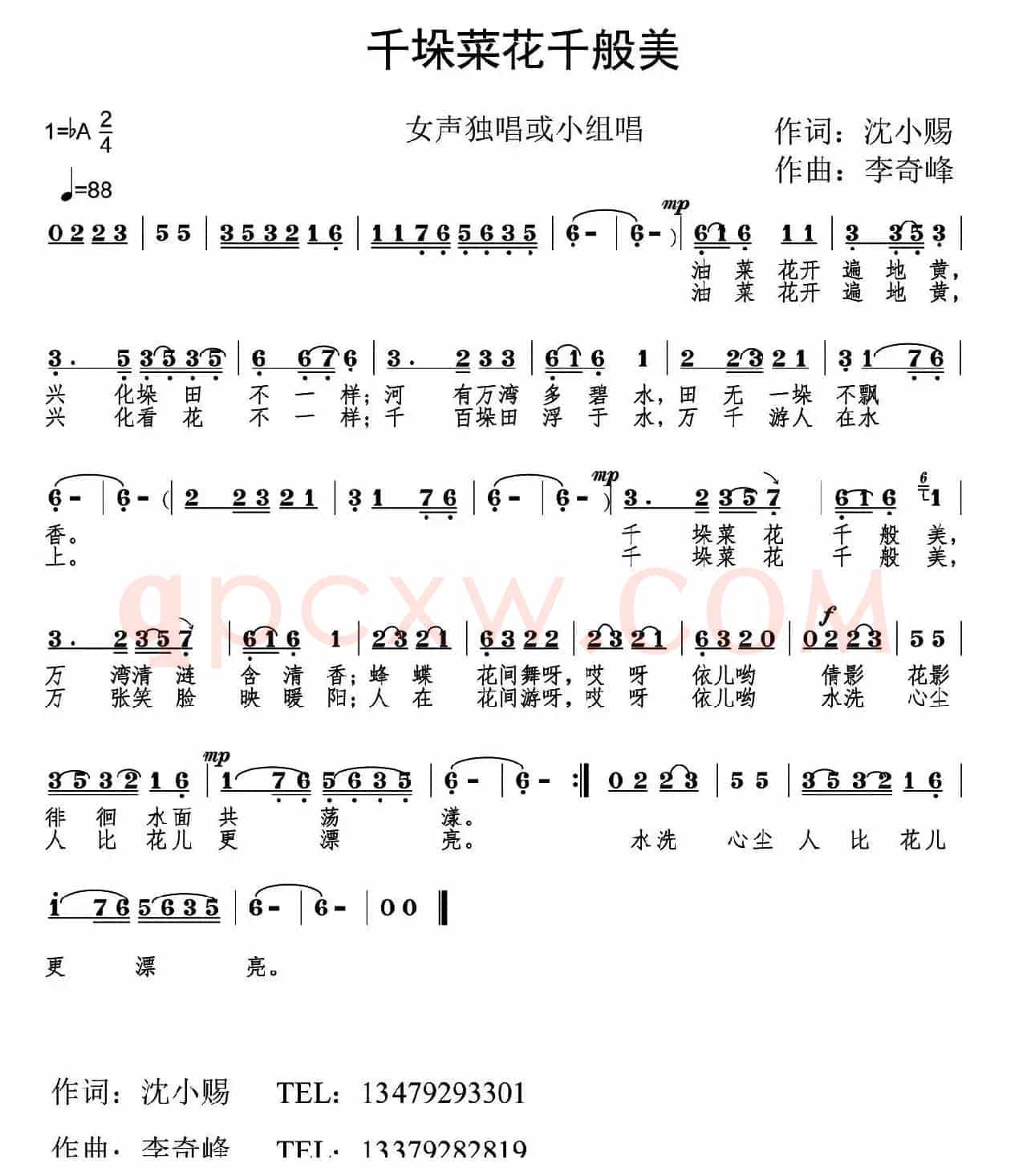 千垛菜花千般美