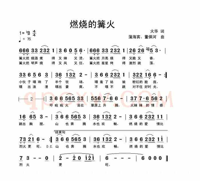 燃烧的篝火