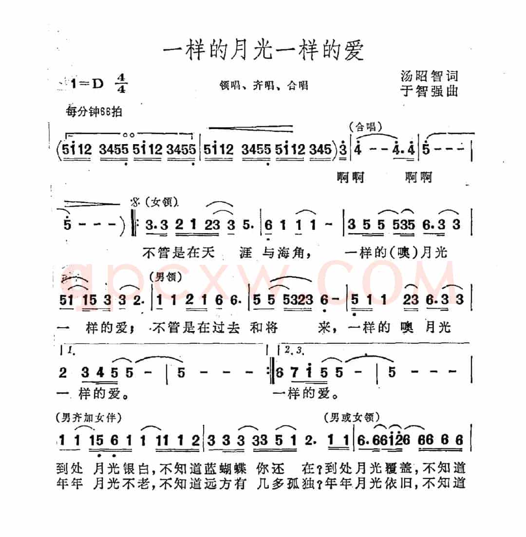 一样的月光一样的爱
