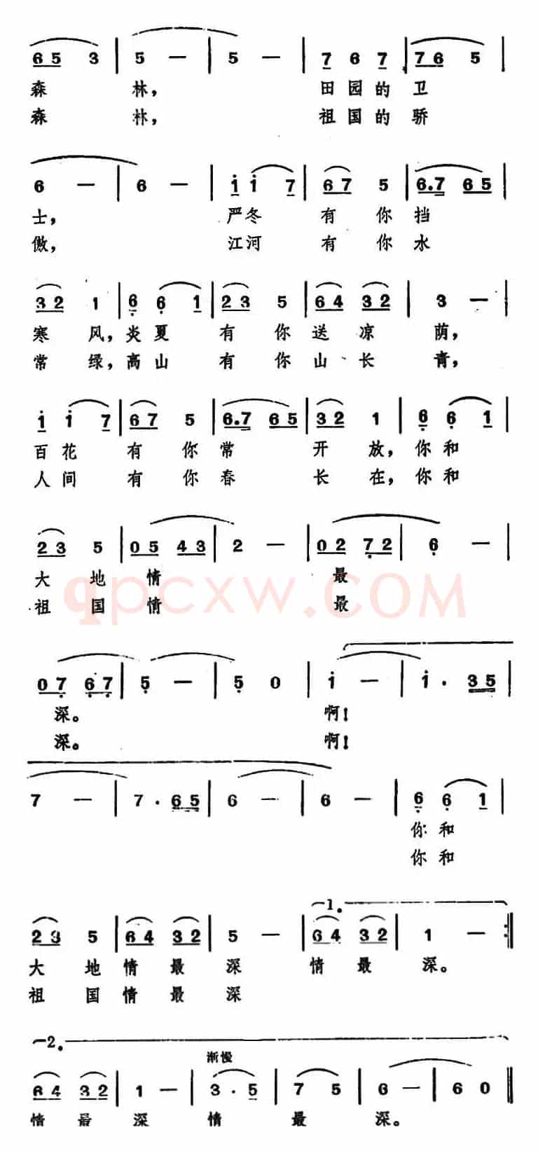 森林小曲