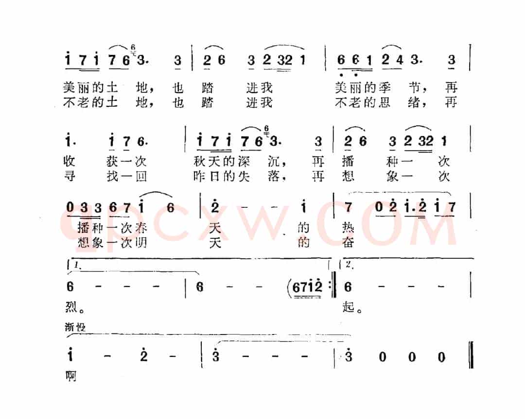 踏进这块土地