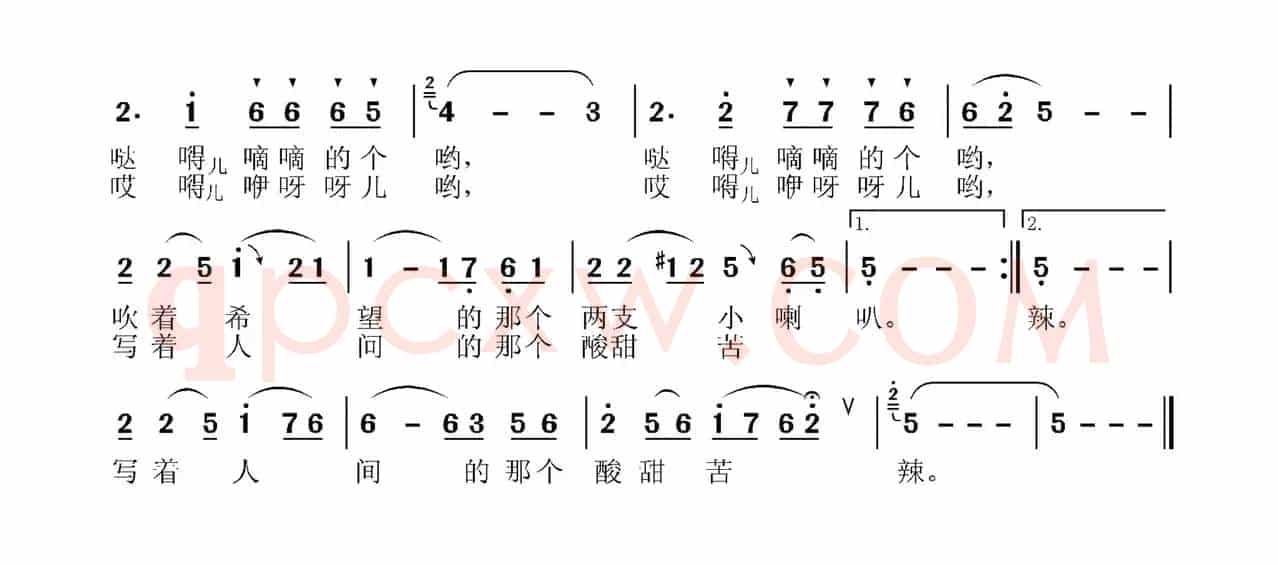 苦菜花、荠菜花