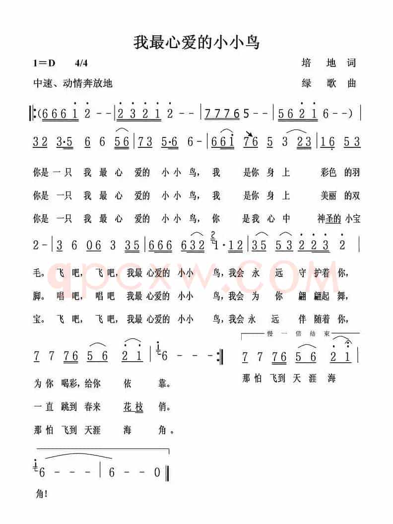 我最心爱的小小鸟