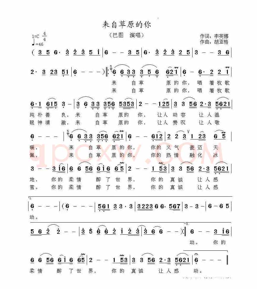 来自草原的你