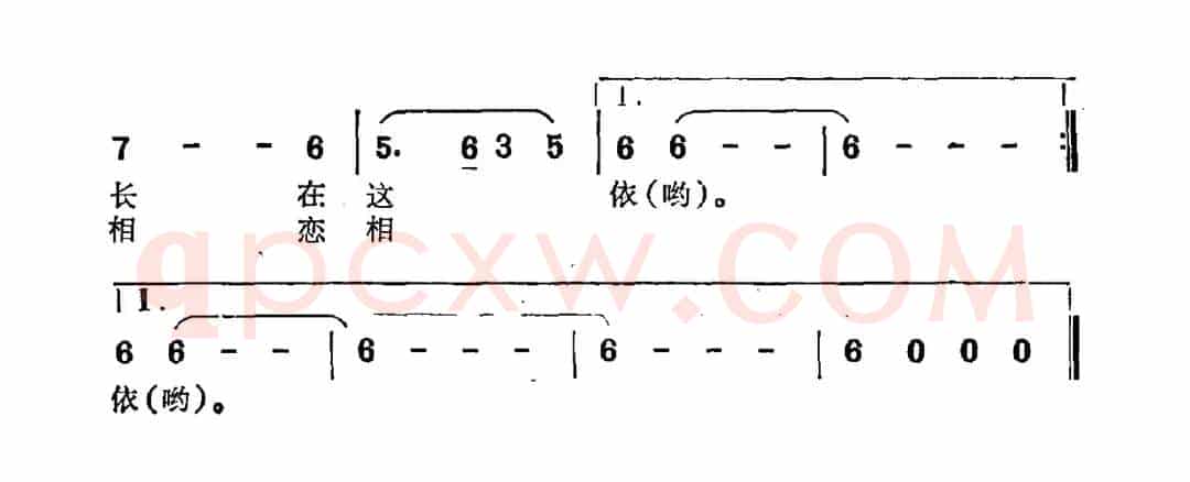 牦牛，我无言的兄弟