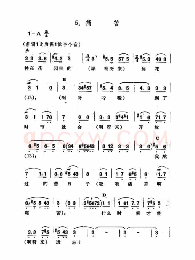 痛苦（新疆伊犁 维吾尔民歌 第十套《瓦黛里哈》）