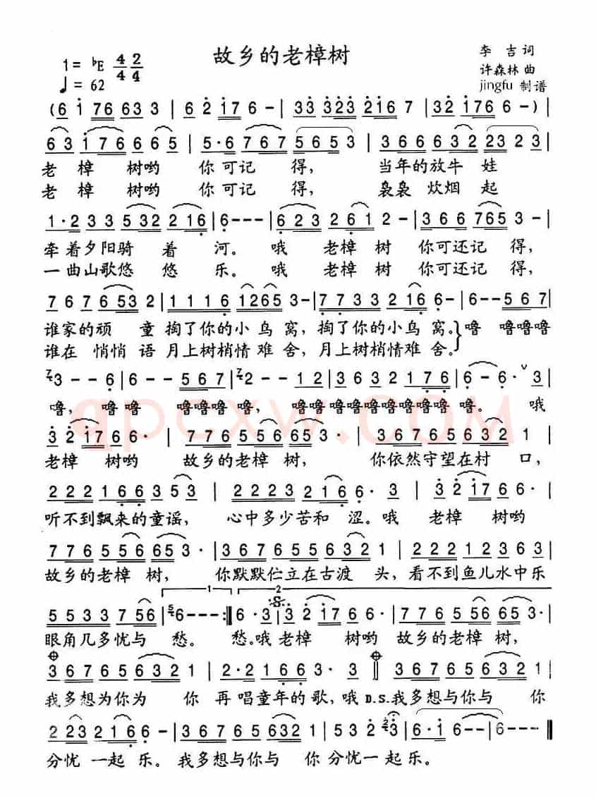 故乡的老樟树