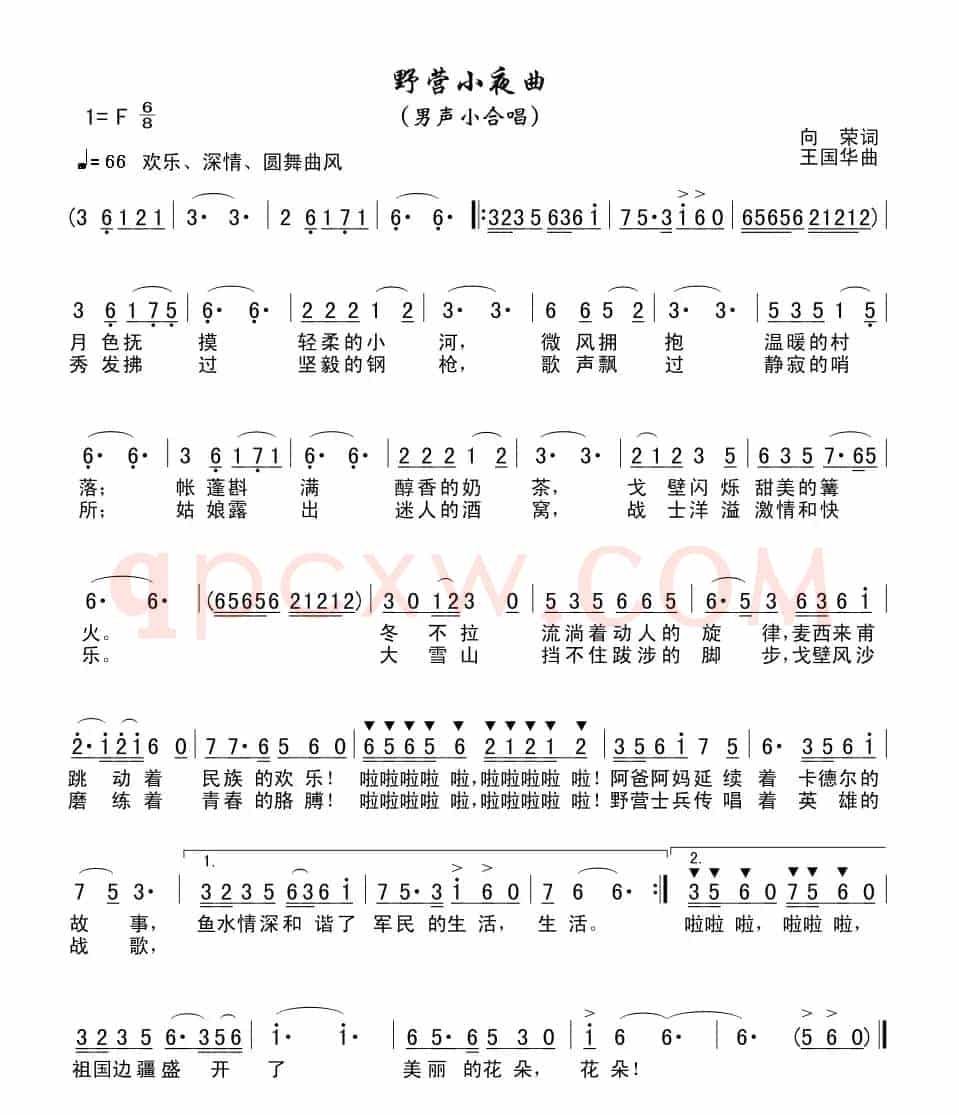 野营小夜曲