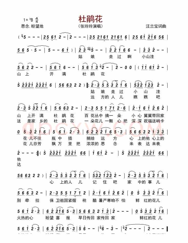 杜鹃花    
