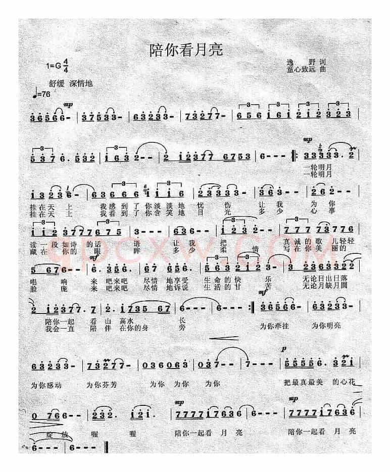 陪你一起看月亮