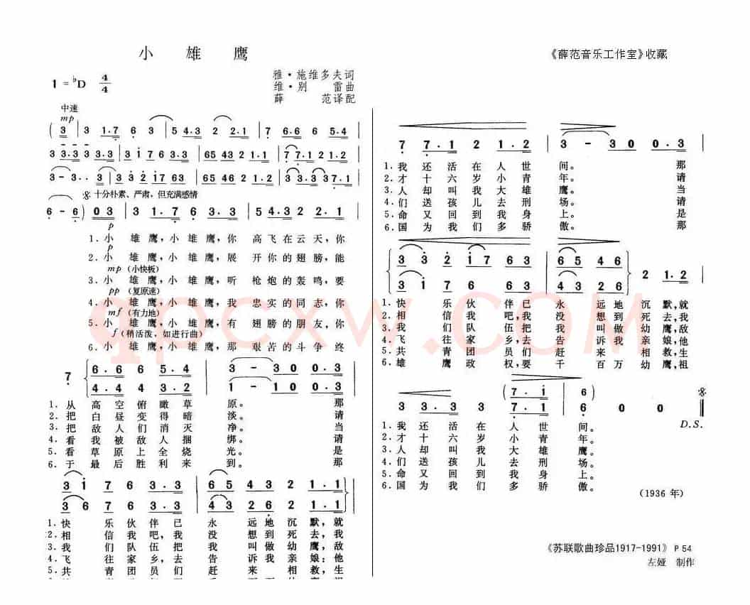 小雄鹰