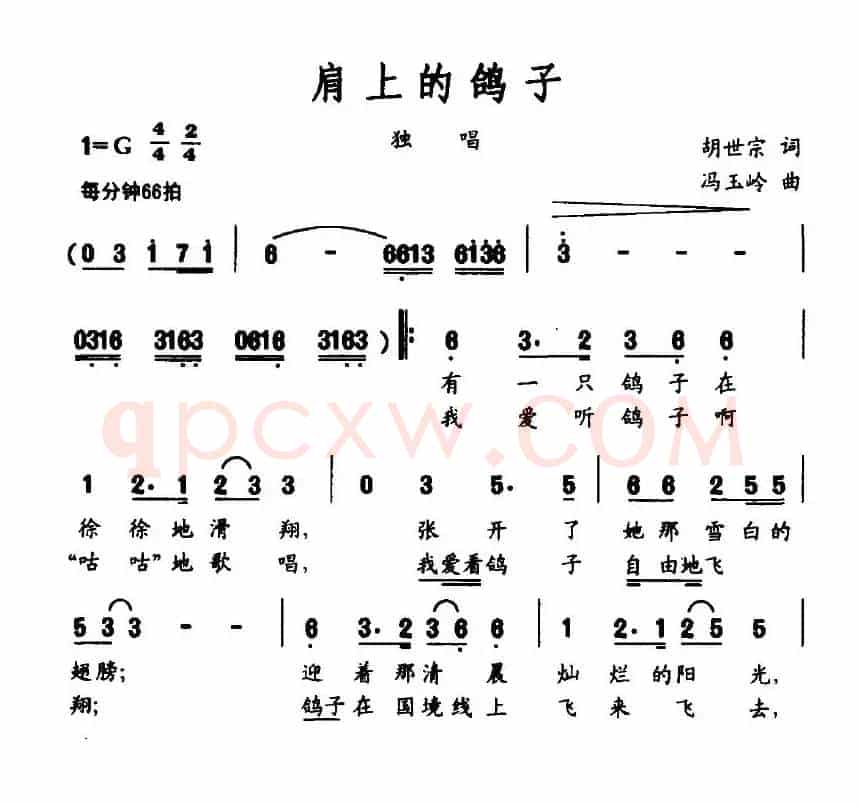 肩上的鸽子