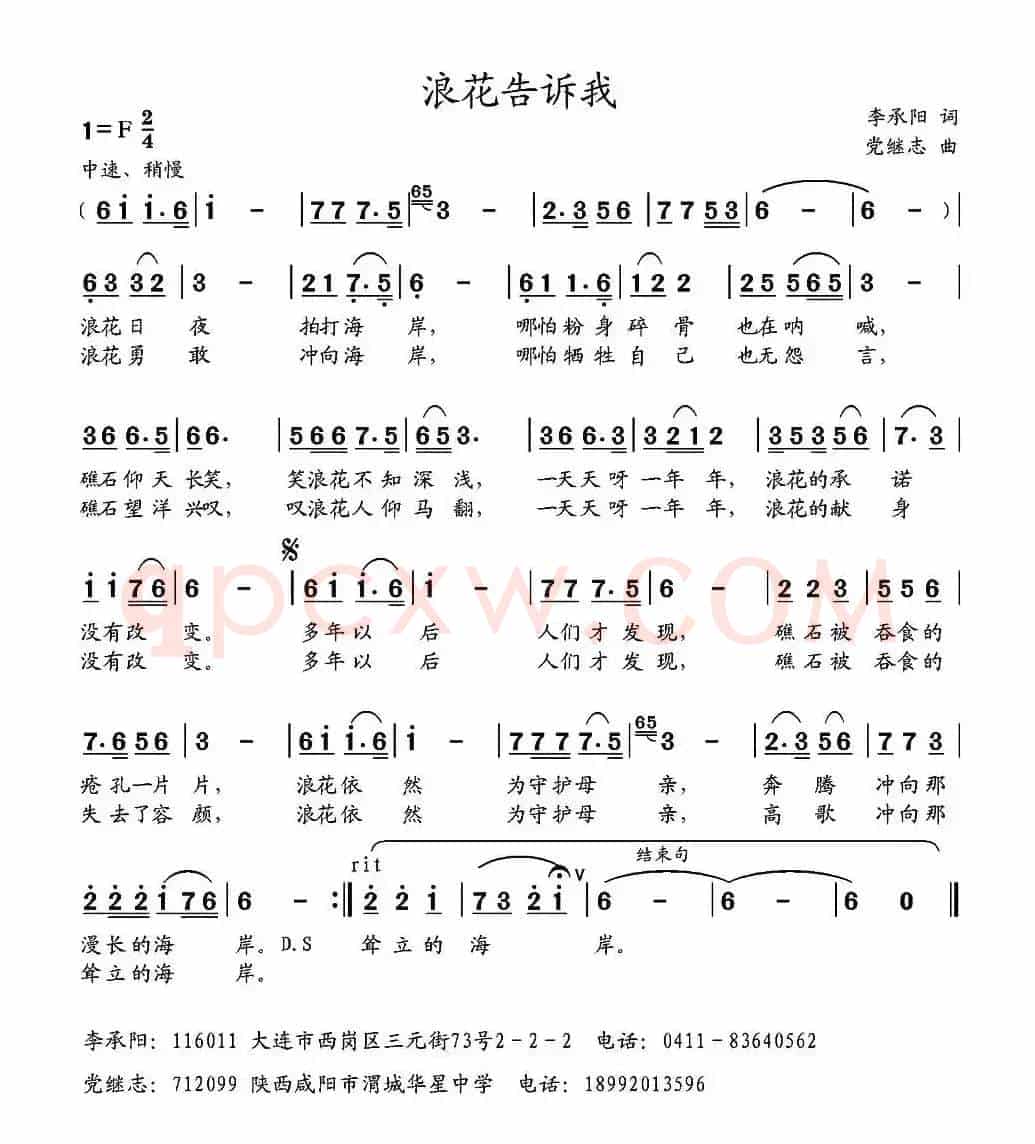 浪花告诉我