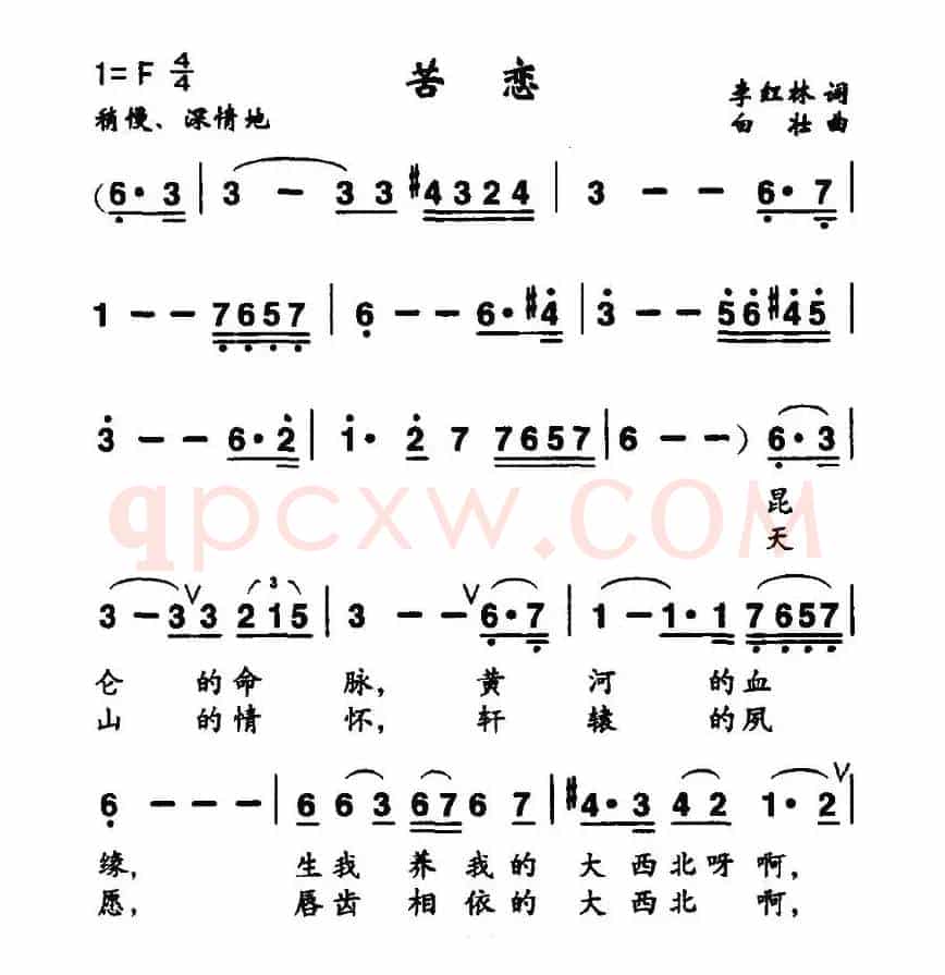 苦恋（李红林词 白壮曲）