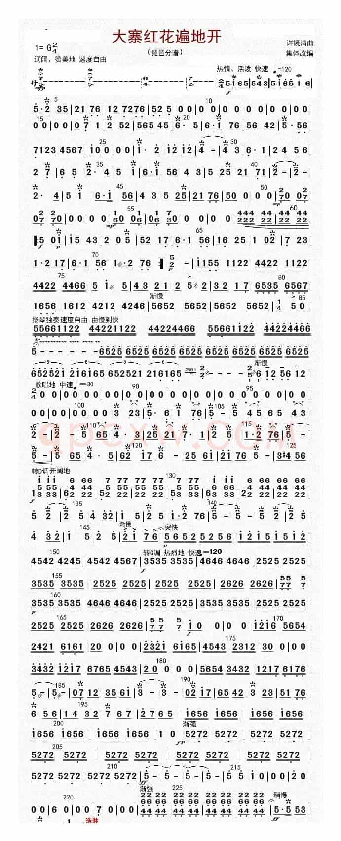 大寨红花遍地开（琵琶（修改版））
